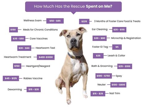 Adoption Process & Fees – WAG Animal Rescue.